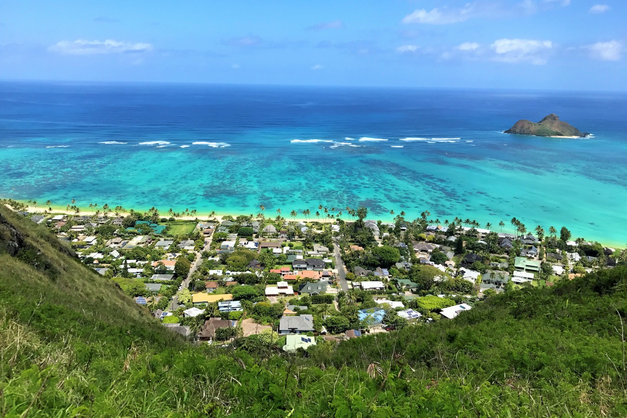 HAWAII REVIEW|ハワイ お客様の声