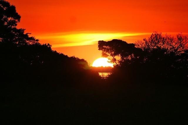 アマゾンを望む地平線に沈む夕日は真っ赤に染まり、まるで空が炎で包まれたかのよう