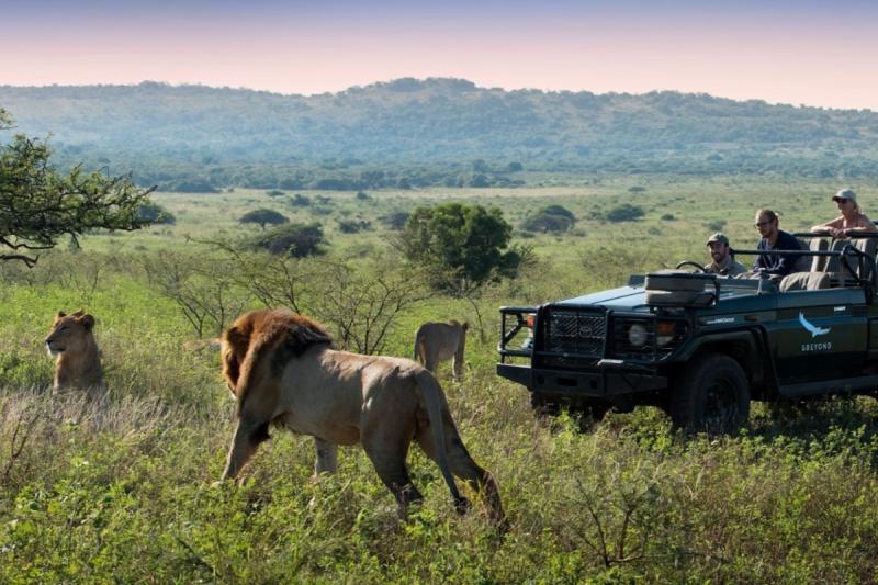 ゲームドライブ