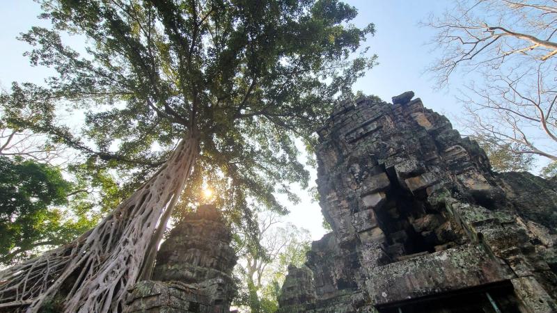 タプローム寺院（アンコール遺跡群のひとつ）