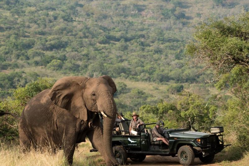 ゲームドライブ