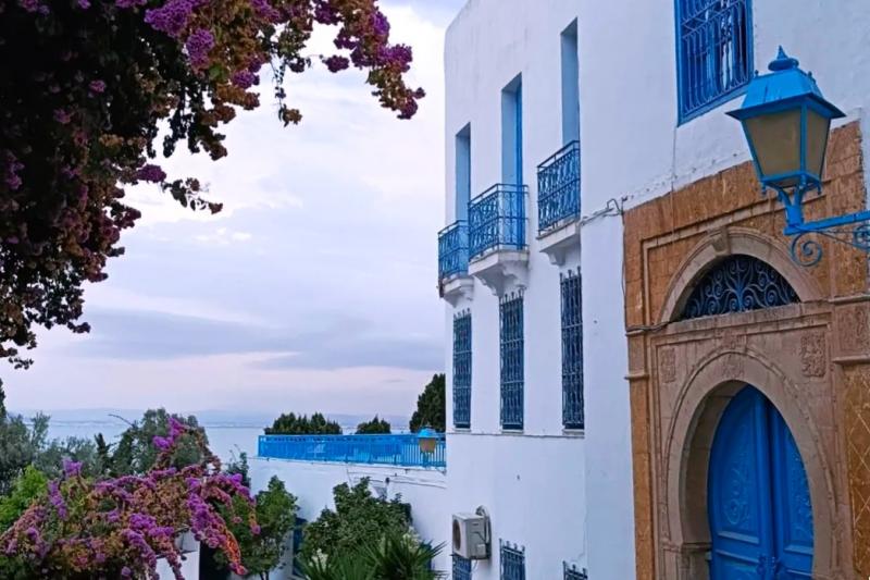 チュニジアンブルーの街、シディブサイド