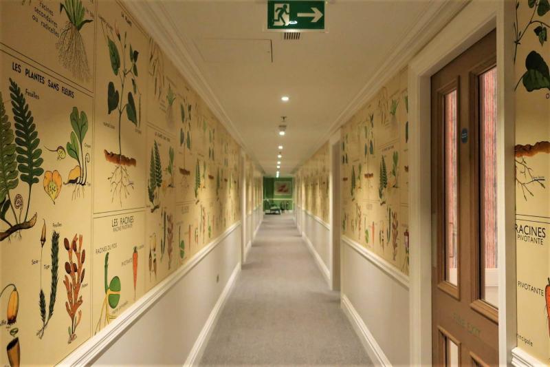 お部屋行く途中のホテルの廊下。壁のデザインもかわいいです