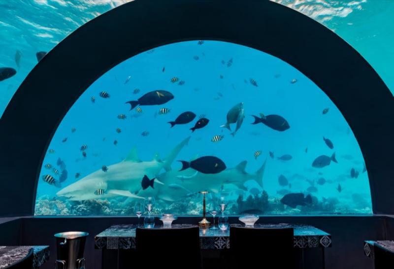 H2O by Andrea Berton（水中レストラン）