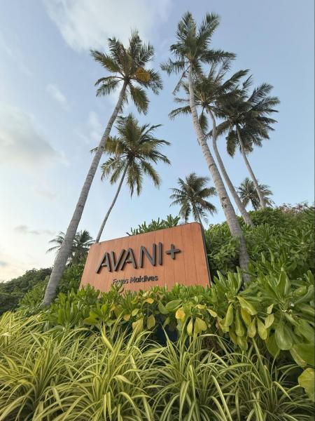 アヴァニのメイン看板です