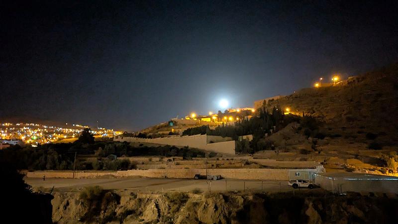 月明かりに照らされ幻想的に