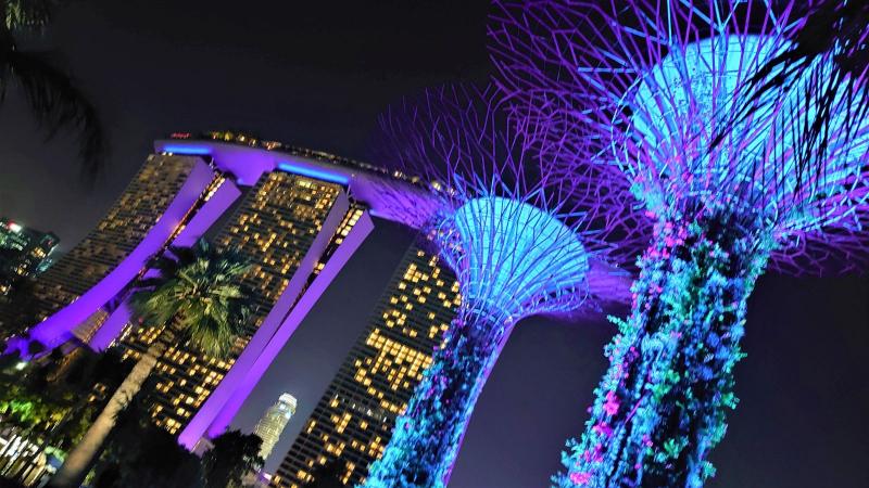シンガポールの夜景も素敵でした