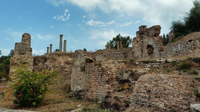 世界遺産のカルタゴ遺跡です。共通チケットを買っておくと、複数の遺跡を巡るのに便利です。アントニヌス浴場、ビュルサの丘、ローマ劇場跡、トフェ（聖地）などがおすすめです。私が訪れた9月は、まだ日中は日差しも強く暑いので1つだけ見ましたが、しっかり見たい場合は半日以上の時間を見ておくと良いと思います。
