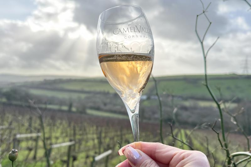 いざ、テイスティング