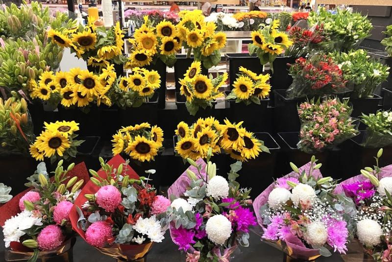 夏の花は色鮮やかですね！