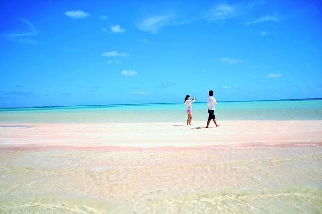 ピンクサンドビーチ Pink Sand Beach タヒチ ランギロア島 ティースタイル オーダーメイドツアー