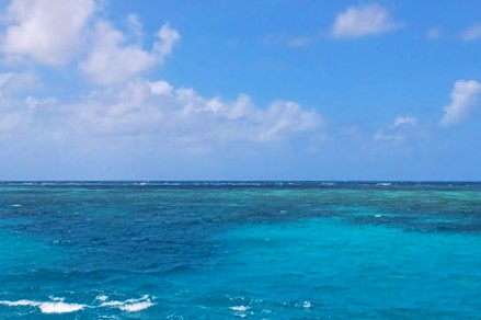 見渡す限りの青い海と空、場所によって青さが異なるコントラストが美しい。そして、沖合には白砂のサンドバンクが！ まさにパラダイスです！！ 