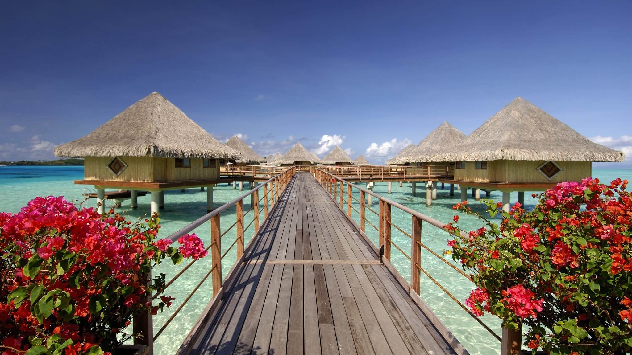 Bora Bora HOTEL|ボラボラ島 ホテル