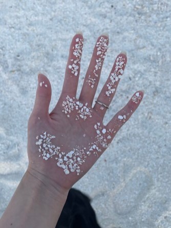 砂浜も白く美しいです。貝殻のかけらかな？ 可愛くて撮りました