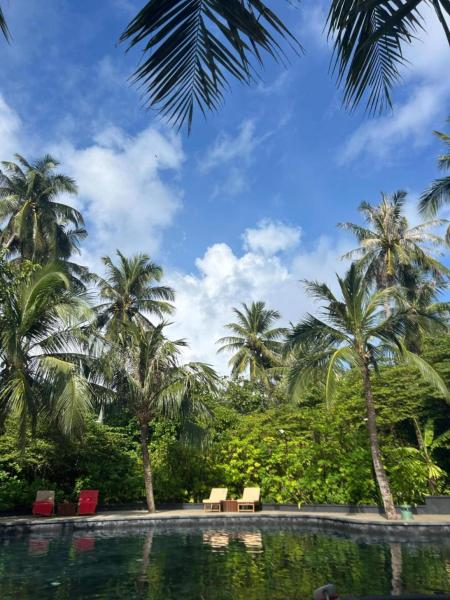 木々に囲まれたプールサイドで、静かな時間をのんびり ♪ 