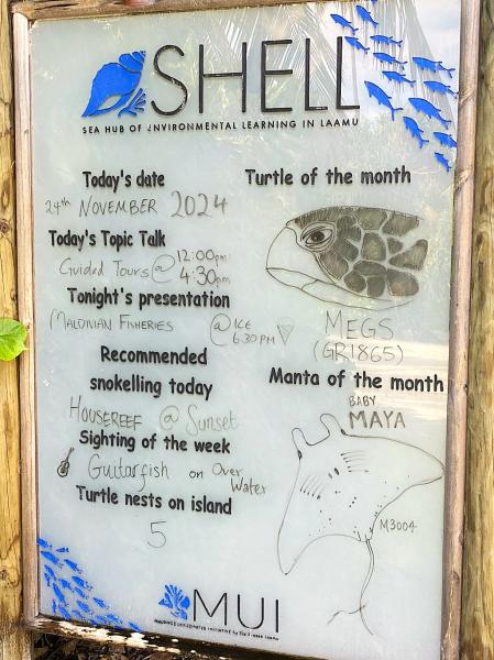 海洋環境学習センター前にはシュノーケルのおすすめスポットやウミガメの巣の数など紹介されていました