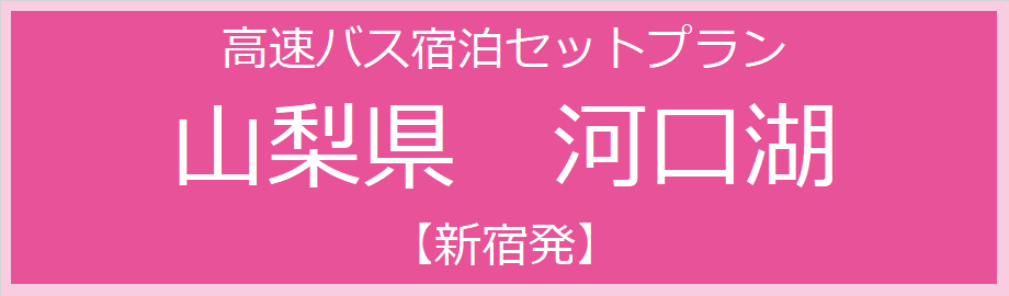 高速 バス セール 宿泊 パック 格安